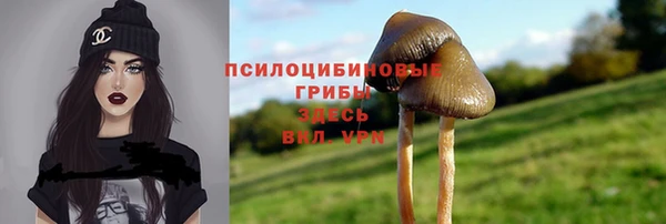 хмурый Абаза