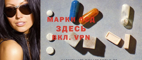 хмурый Абаза
