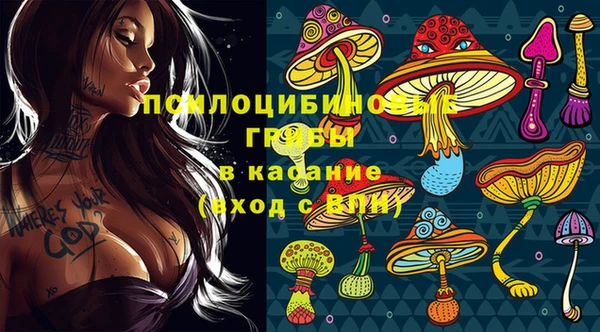 хмурый Абаза